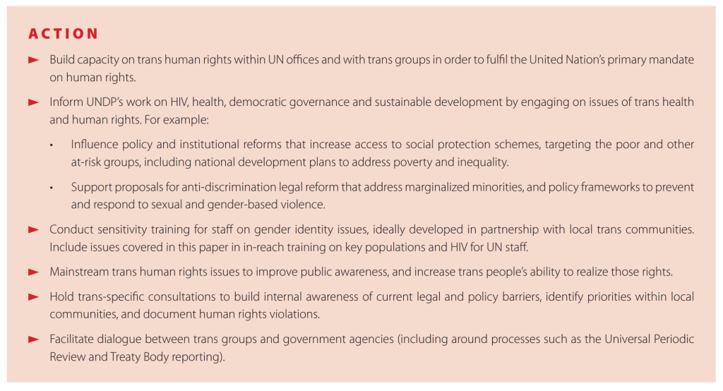 undp dec2013 trans rights recs